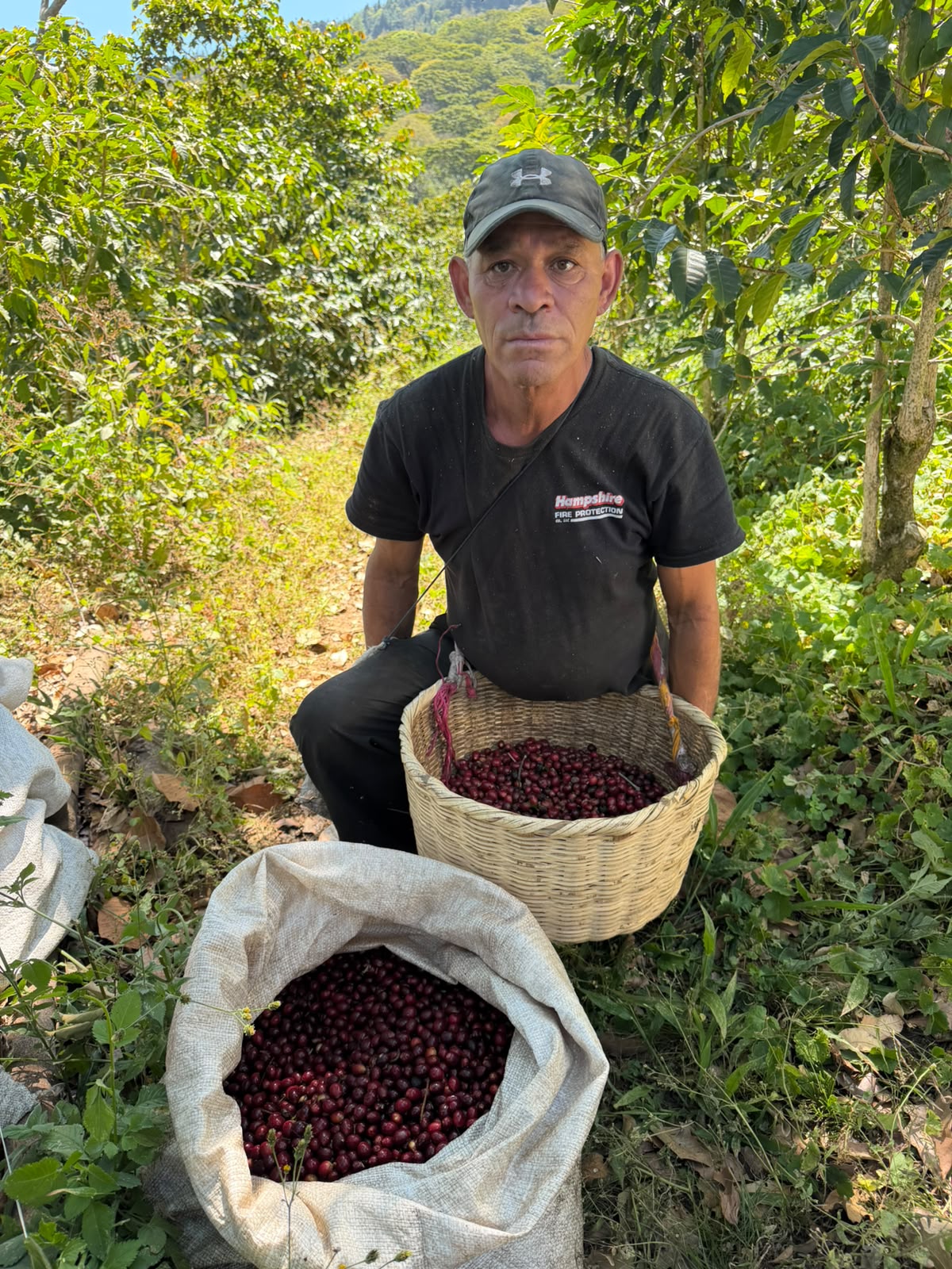 El Salvador - Malacara C - Bourbon Rojo - Lavado