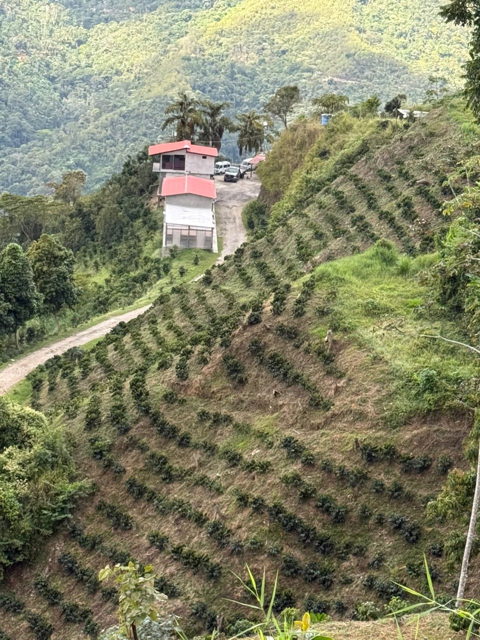 Venezuela